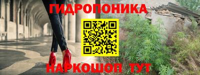 тгк Волгодонск