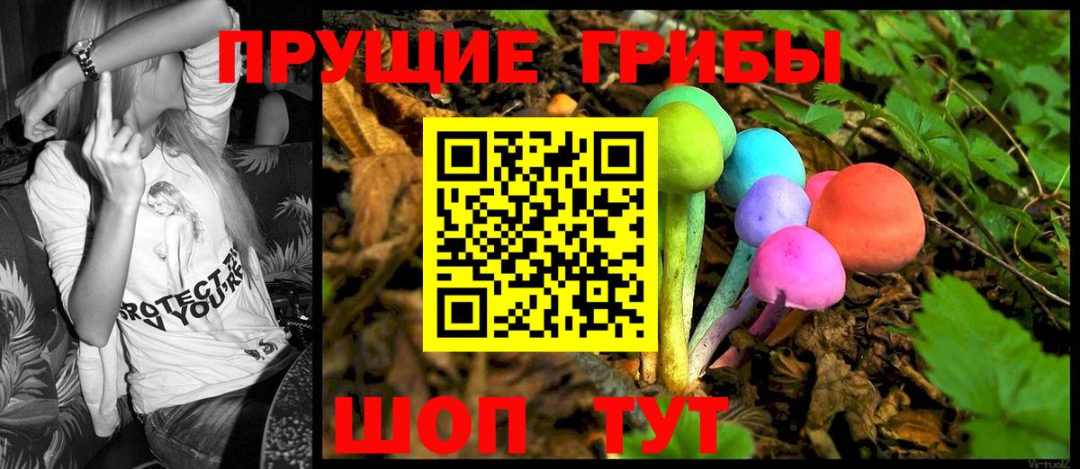 Похвистнево  Галлюциногенные грибы Psilocybe  продажа наркотиков  Вход с VPN 