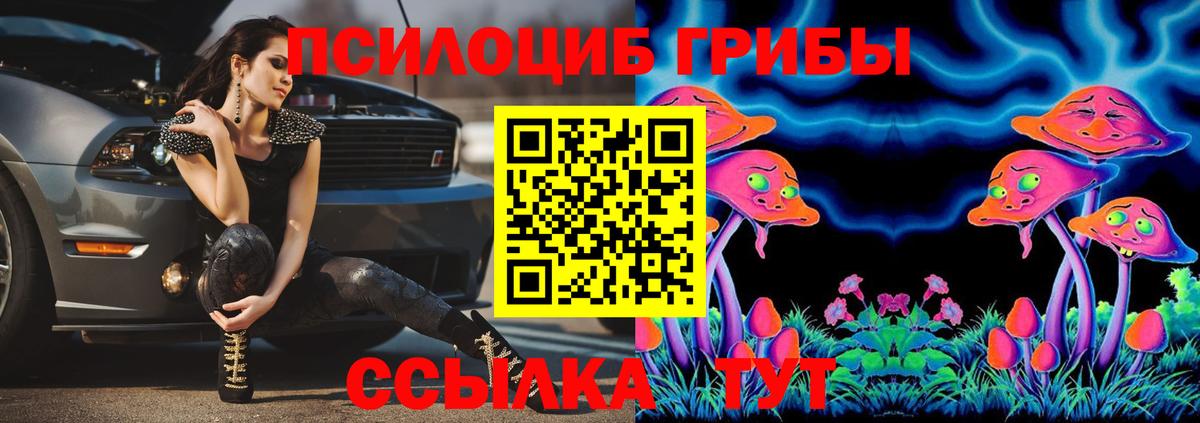 Галлюциногенные грибы GOLDEN TEACHER Похвистнево